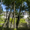 IMG_0093