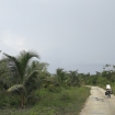 IMG_20191014_145539