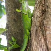 IMG_9409