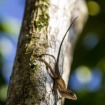 IMG_9426