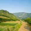 IMG_2196