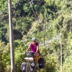 IMG_6750
