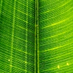 IMG_8317