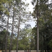 IMG_20190710_103454-01