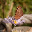 mg_6714